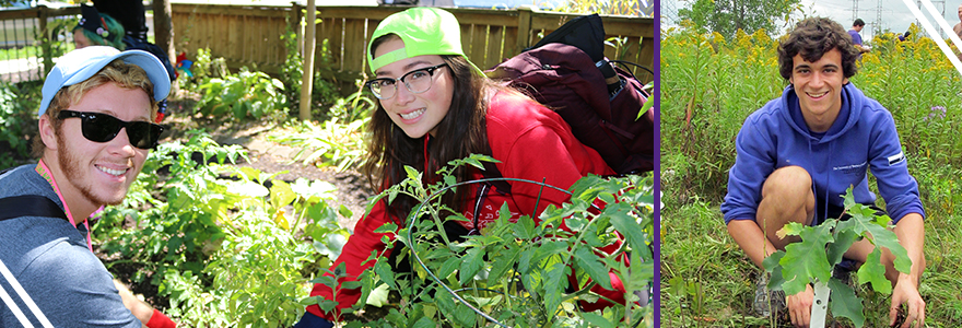 Students involved in orientation serves